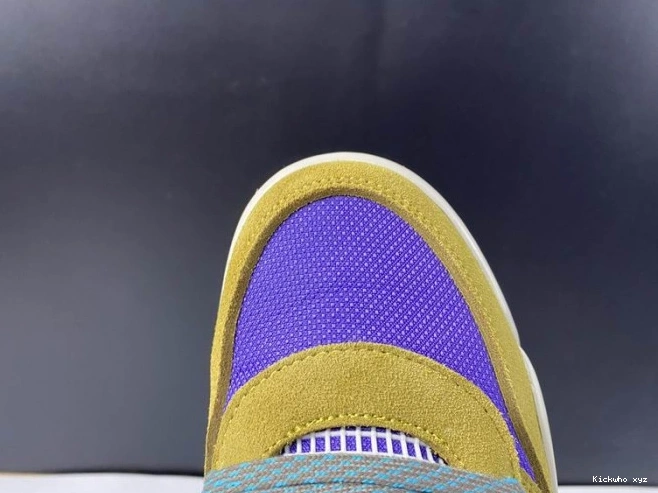 4 SP x Air Desert Union Jordan Moss DJ5718-300 0526